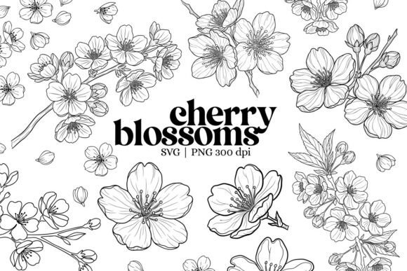 Download Botanical Cherry Blossom Outline Clipart - Premium Resources