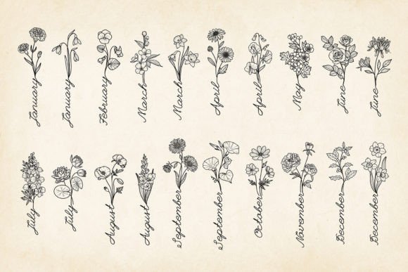 Download Hand-drawn Birth Flowers with Month Name - Flower Collection