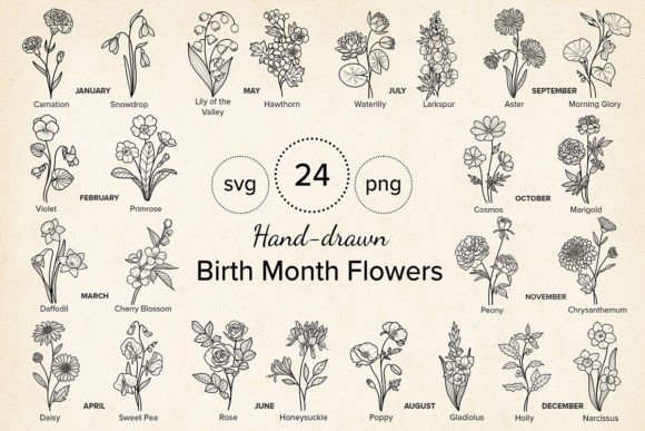 Download 24 Hand-drawn Birth Month Flowers Bundle - Flower Collection