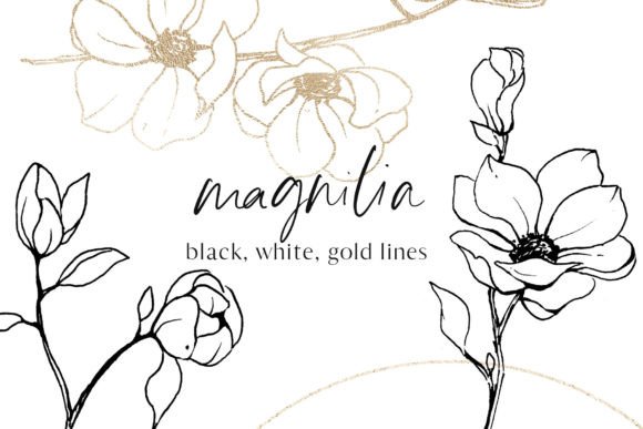 Download Flowers Magnolia Line Art Floral Set - Flower Collection