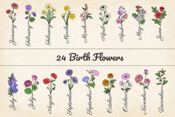 Download 24 Minimalist Birth Month Flowers, SVG - Flower Collection